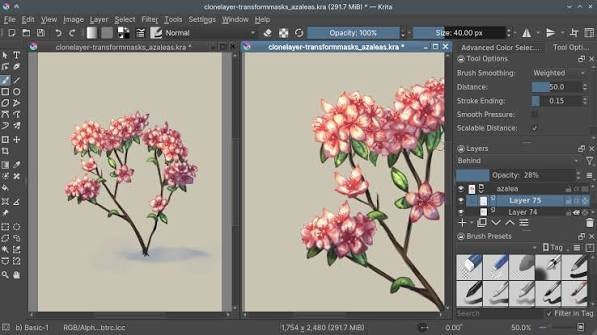 Krita Canvas Setup: 9 Amazing Secret Pro Sizes 2026