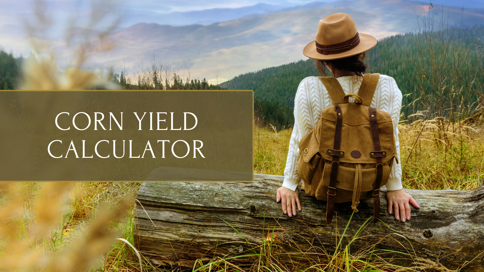 Corn Yield Calculator: Best Tool for Bushels in 2026